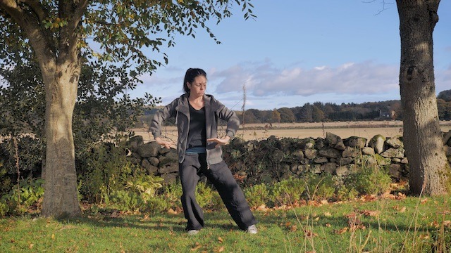 WUDANG QIGONG - Die Einzelne Schildkröten-Bewegung
